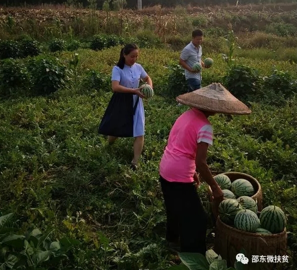消费扶贫，邵东永华村工作队在行动.....