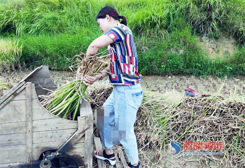 隆回县：辛酸照里映出2万干部奋斗路