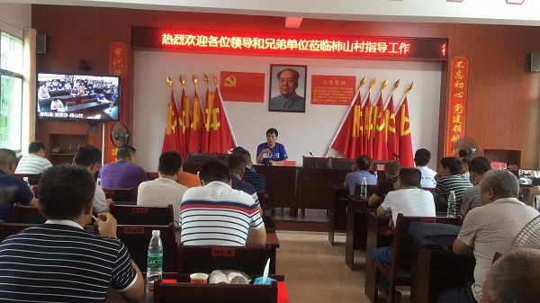 邵阳县黄亭市镇——党员“院落长”扮靓美丽乡村