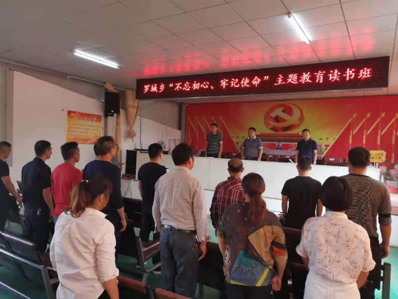 邵阳县罗城乡高标准举办主题教育读书班
