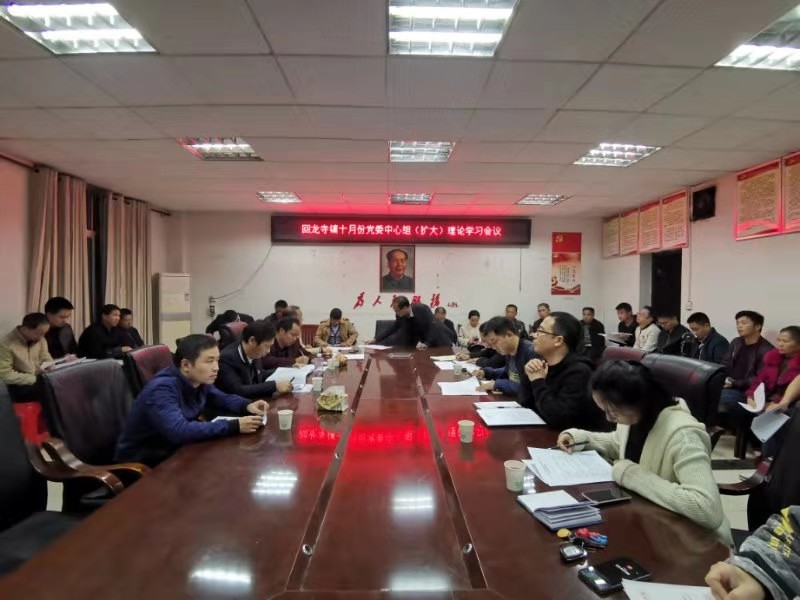 新宁县回龙寺镇召开党委中心组（扩大）理论学习会议