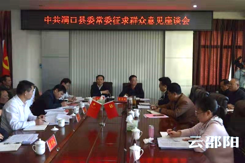 洞口：广开大门纳民言 助推主题教育走深走实