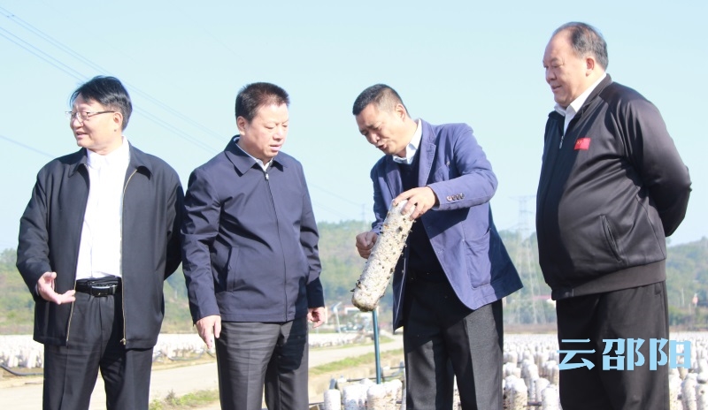 王昌义率队专题调研“邵阳红”优质农产品公共品牌建设工作