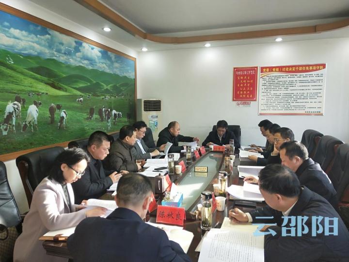 邵阳市政府党组召开“不忘初心、牢记使命”主题教育专题民主生活会：做到四个“着力强化”  推动政府工作水平上新台阶
