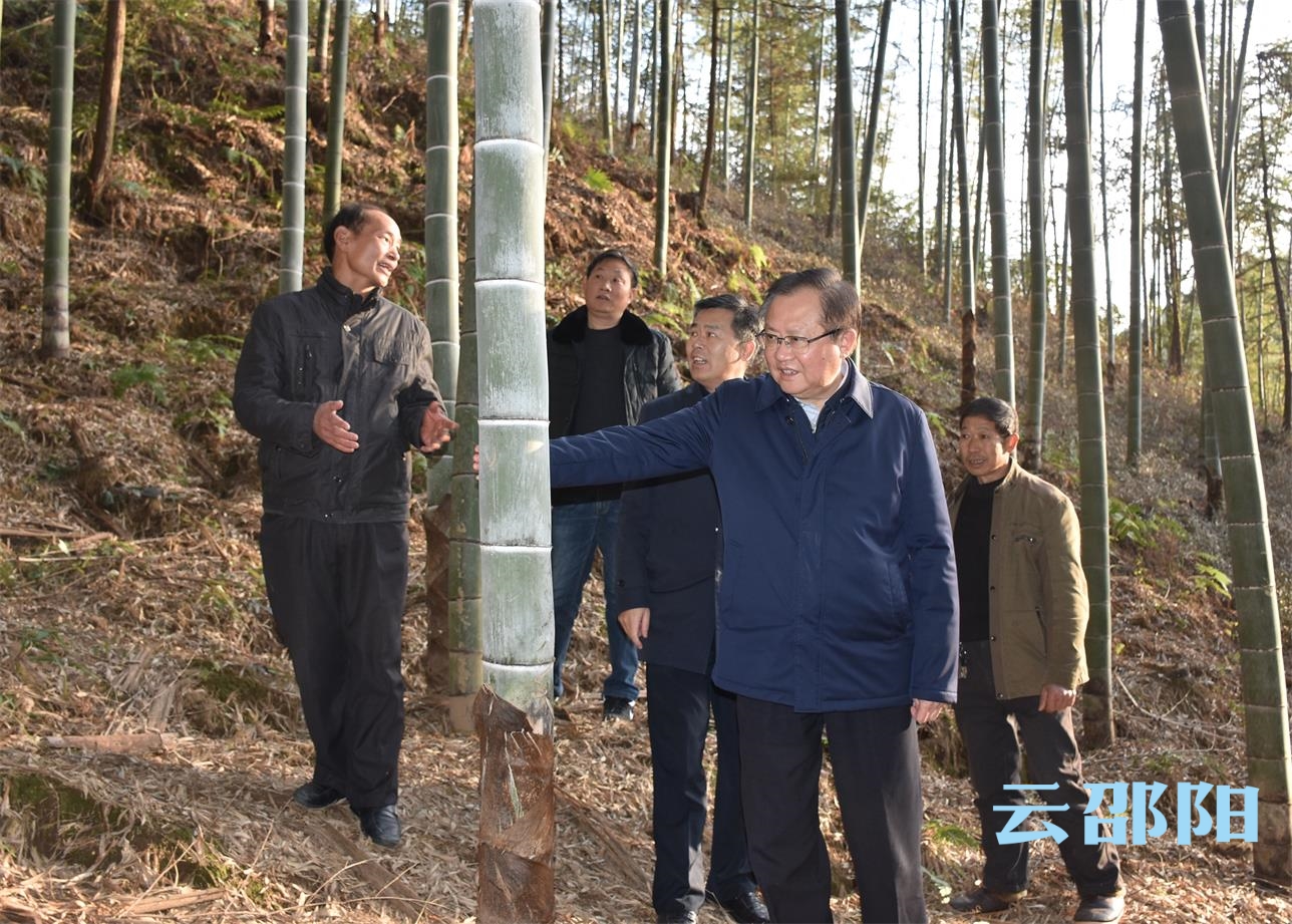 龚文密在绥宁县调研：充分发挥南竹资源优势  巩固扩大脱贫攻坚成果