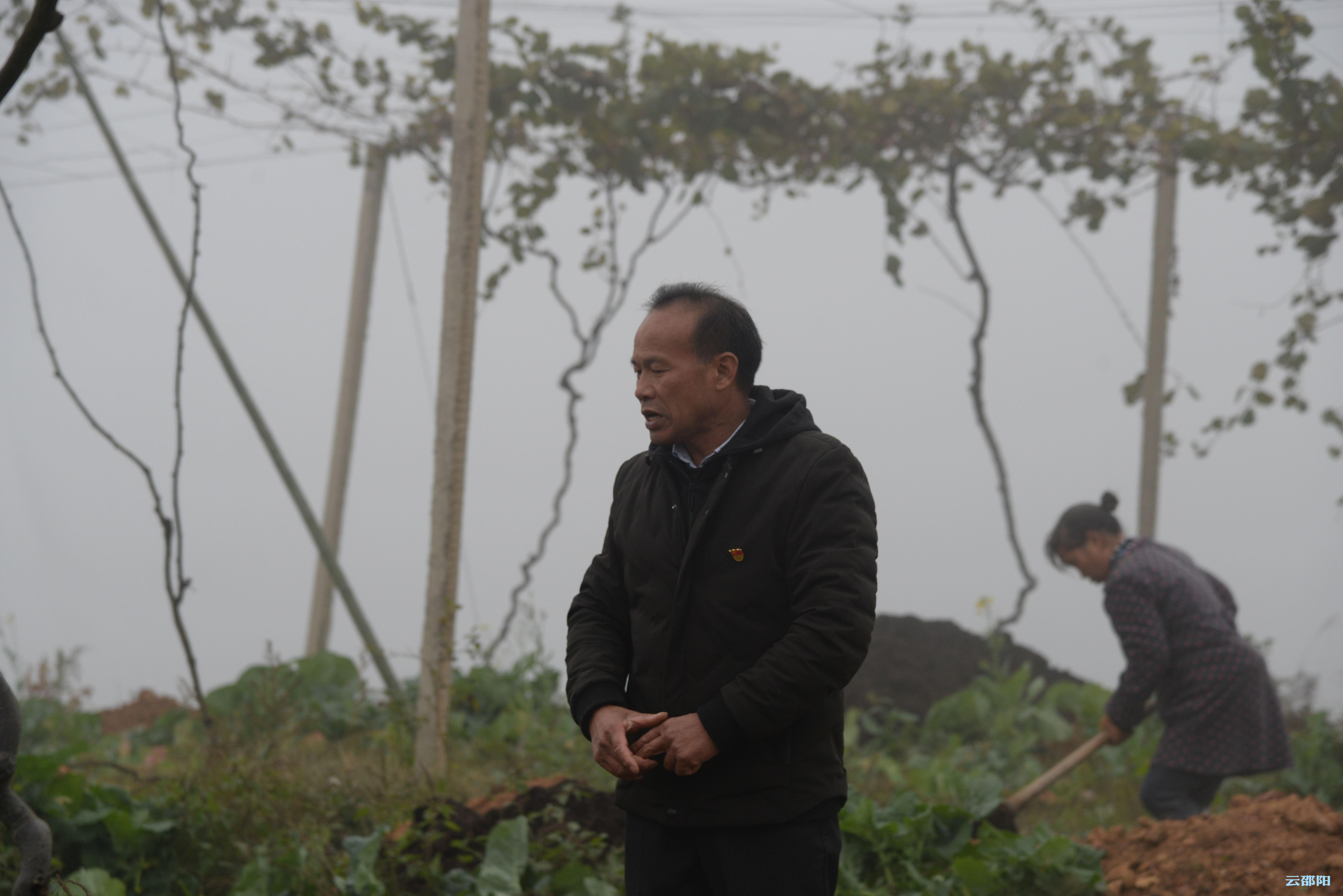 杨小树的“初心”：让乡亲们日子过得红红火火！
