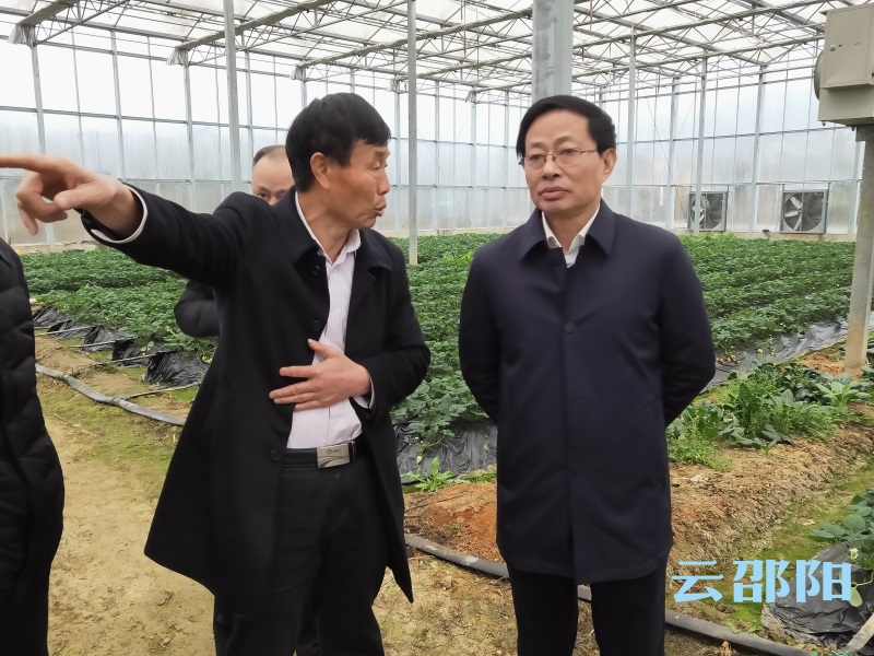 李志雄到召伯村调研：抓产业发展带动致富 提升村民幸福感