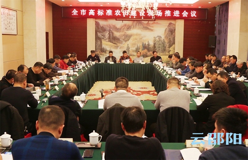邵阳召开高标准农田建设现场推进会