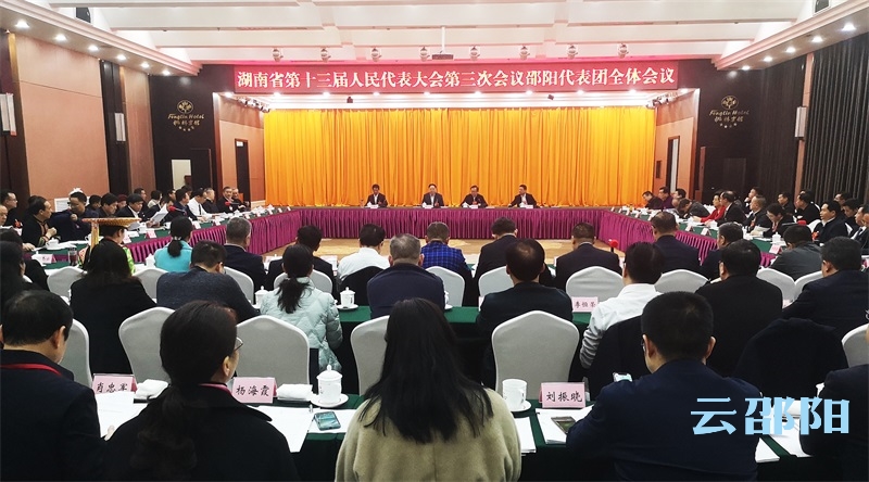 张剑飞参加邵阳代表团审查时强调：以决胜全面小康为抓手 推动经济社会高质量发展