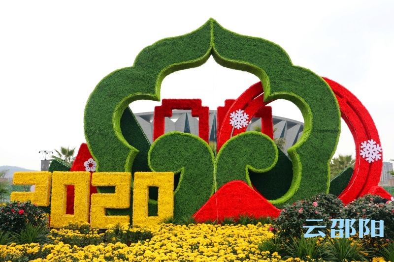 鲜花盛宴迎新春