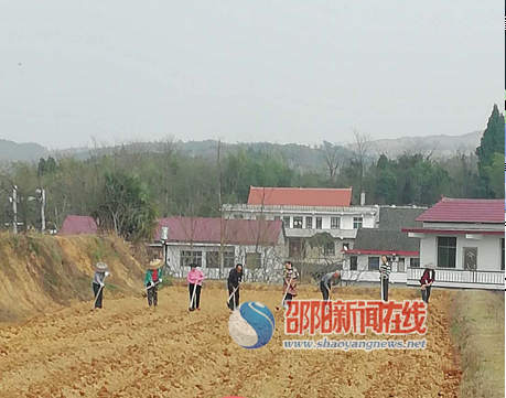 邵阳县九公桥镇白竹村春耕备耕忙