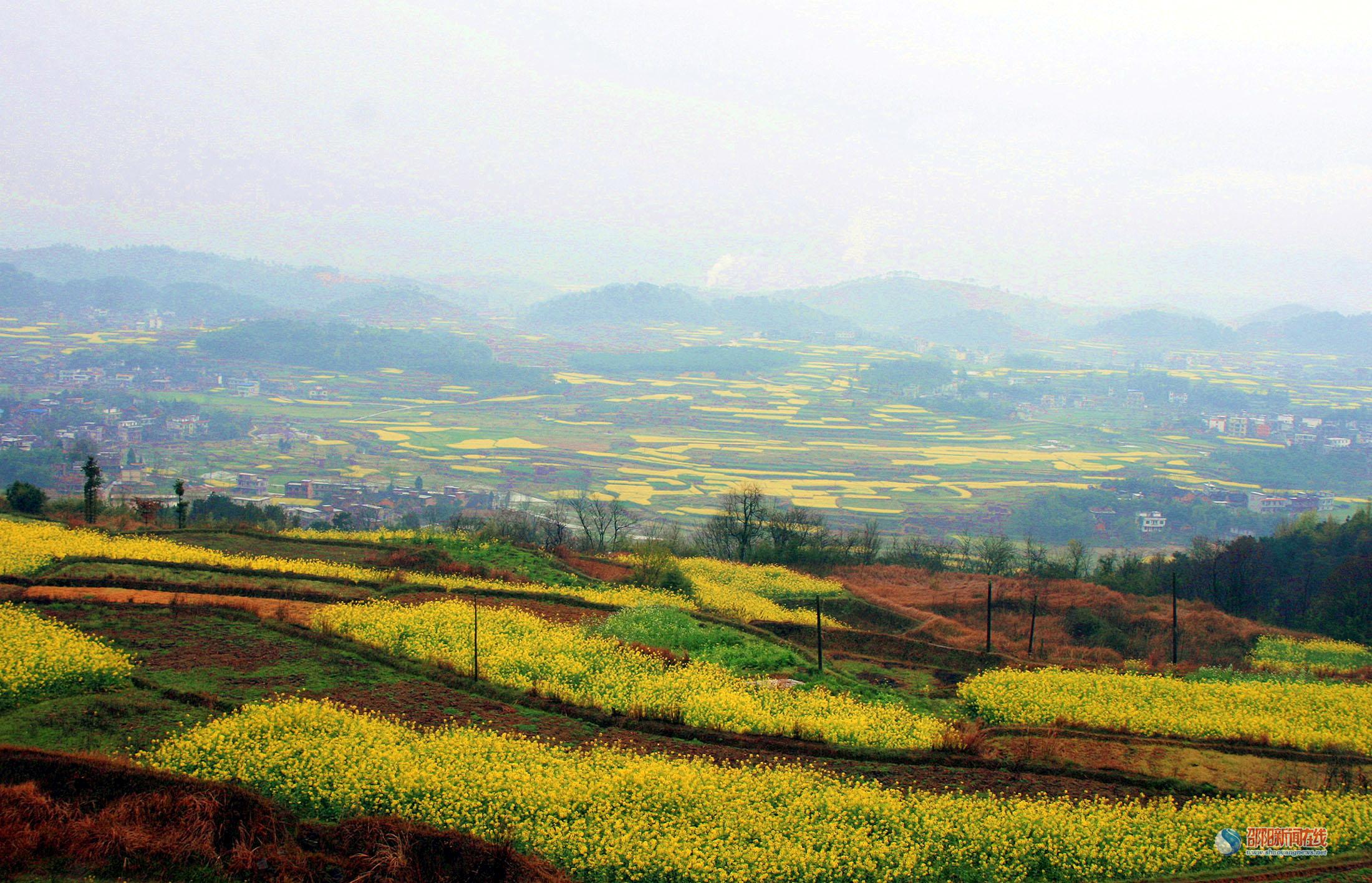 邵阳县：大地流金美山乡