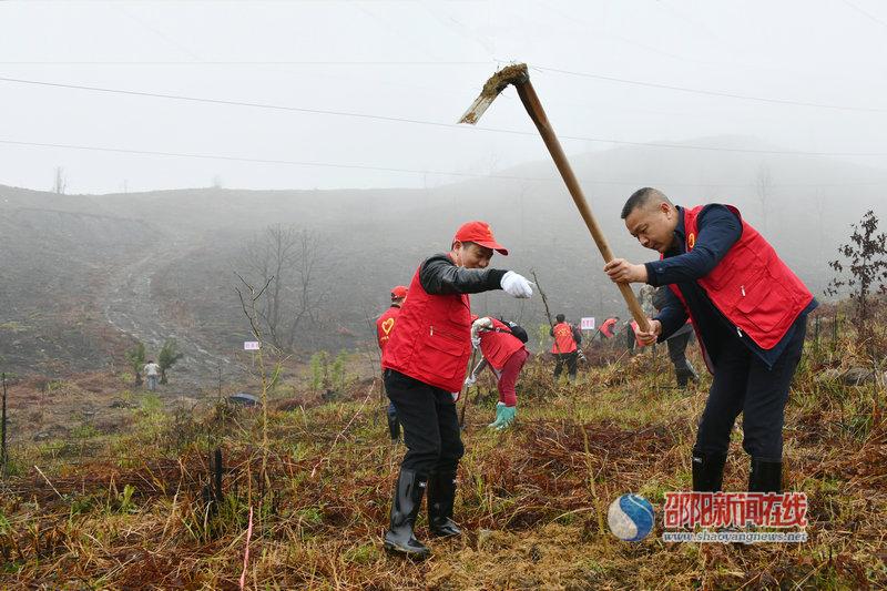 隆回财政：浓浓绿意种植春天