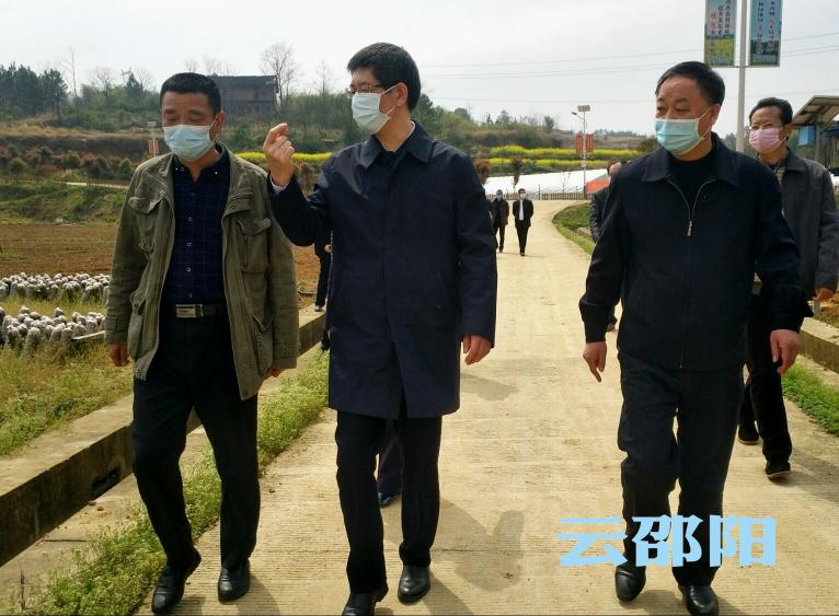 刘事青在市区调度种子和农资生产供应工作：抓紧抓实抓细 推进春耕生产