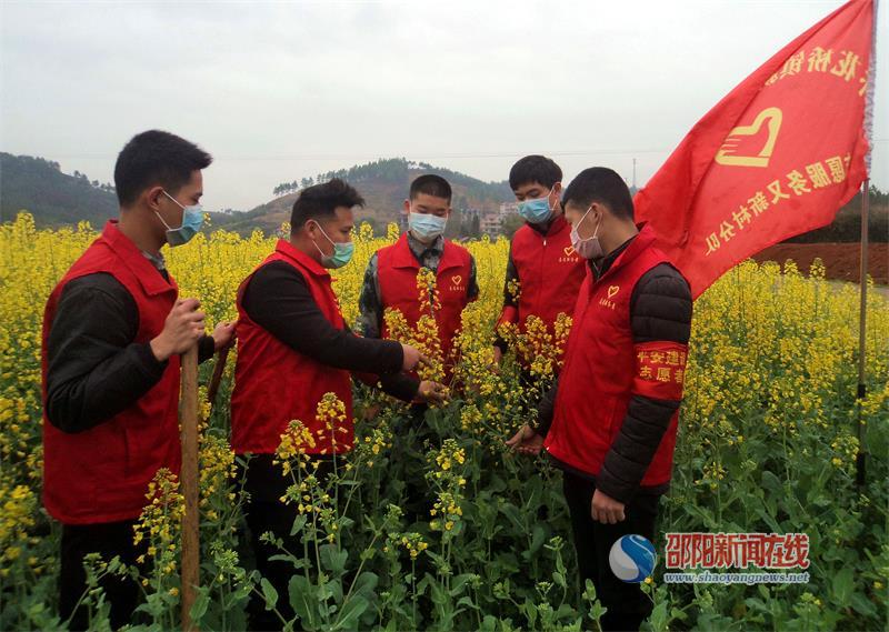 邵阳县科技特派员督促油菜管理