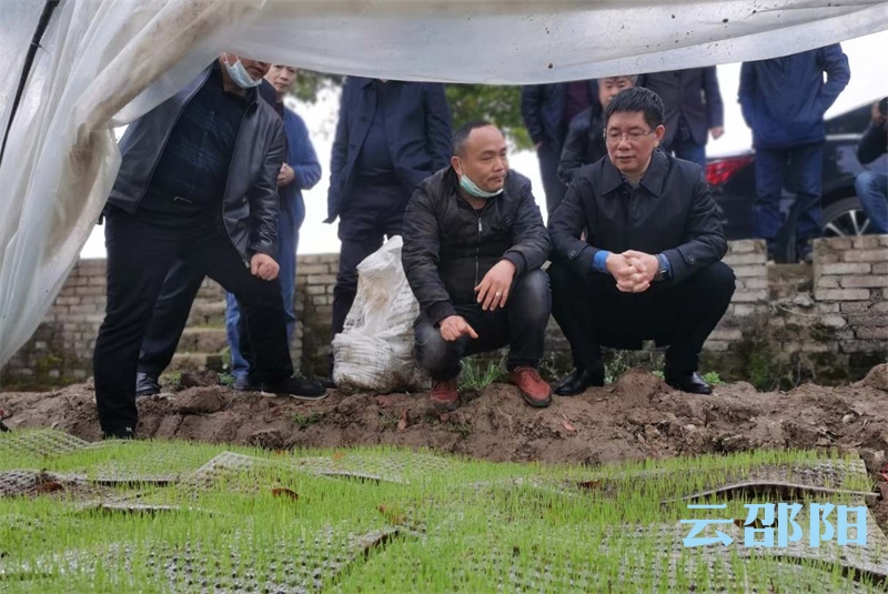 刘事青到邵东市督导疫情防控和农业生产工作
