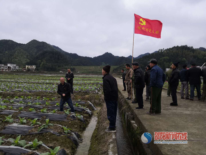 邵阳县白仓镇党员春训“田间地头”意义大