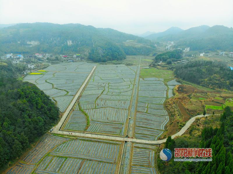新宁县长铺村：携手共铺发展路  齐心共奏振兴曲