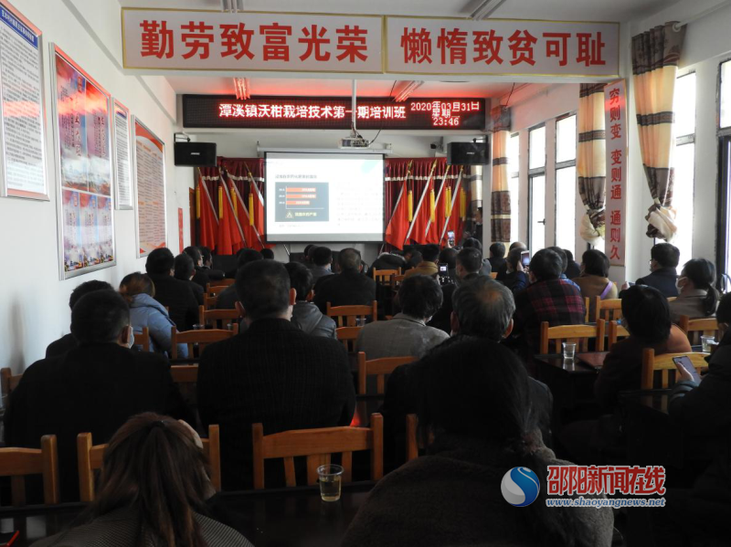 新邵县潭溪镇：校地合作新模式，助推产业新发展