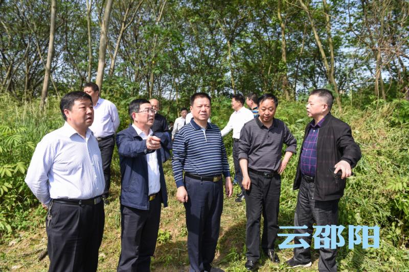 王昌义调研犬木塘水库项目：全力以赴支持工程建设