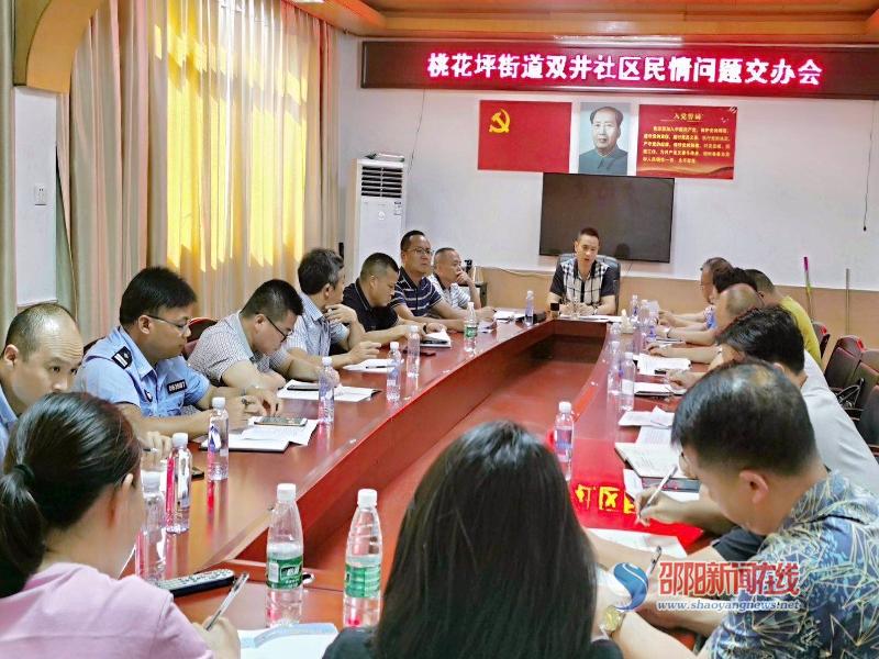 隆回县桃花坪召开辖区双井社区民情问题交办会