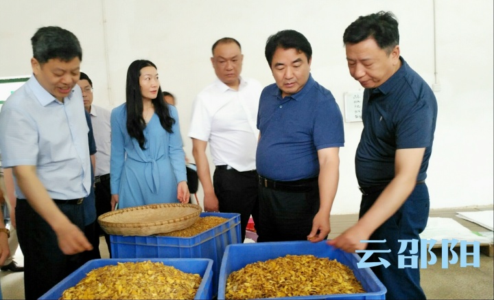 曹普华主持召开全市中药材产业发展调研座谈会：开辟中药材产业发展新天地