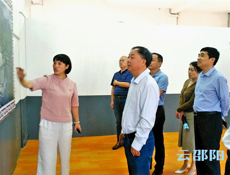肖拥军调研医养结合项目：推动医养结合产业做大做强