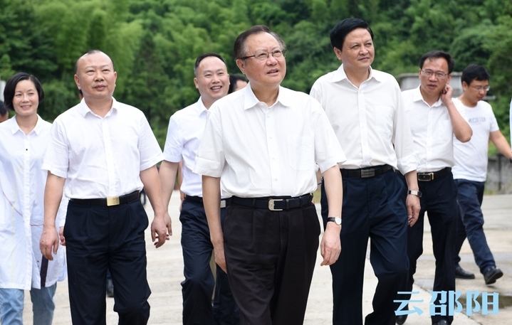 龚文密在城步调研