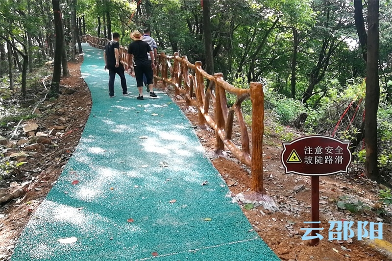 邵阳又多一休闲游览好去处丨“佘湖—紫薇山”森林康养步道对外开放