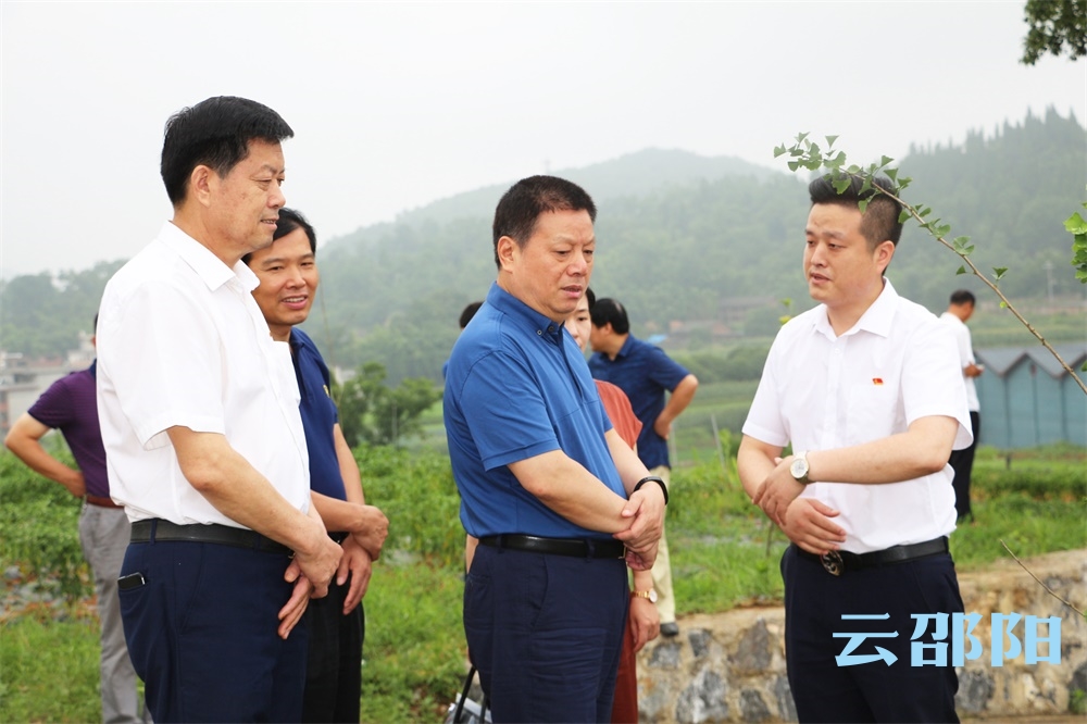 王昌义参加隆回县市人大代表小组主题活动