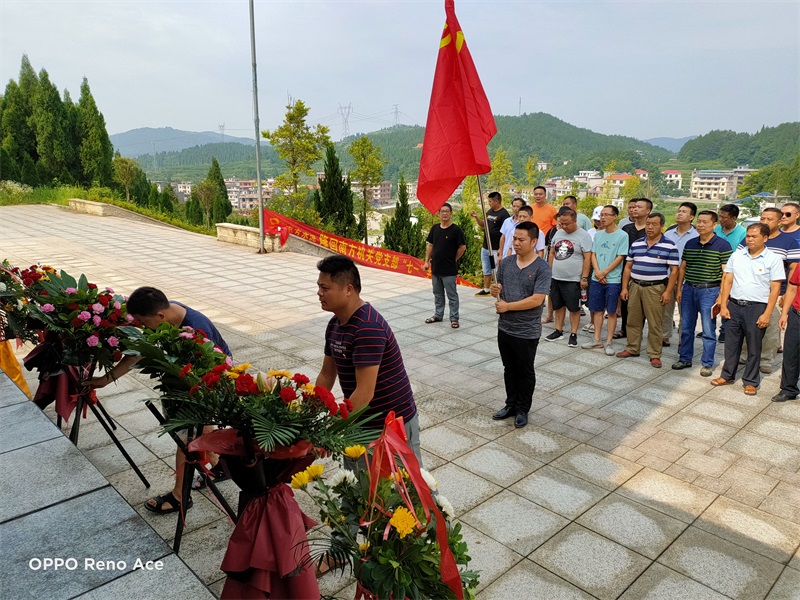 隆回县水利局：烈士公园上党课 缅怀先烈记初心