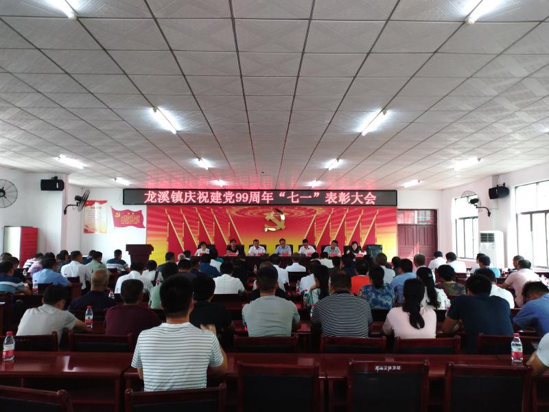 武冈市龙溪镇召开庆祝建党99周年暨“七一”表彰大会