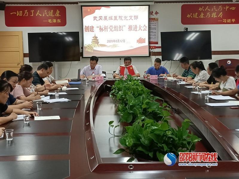 武冈市展辉医院党支部召开创建“标杆党组织”推进大会