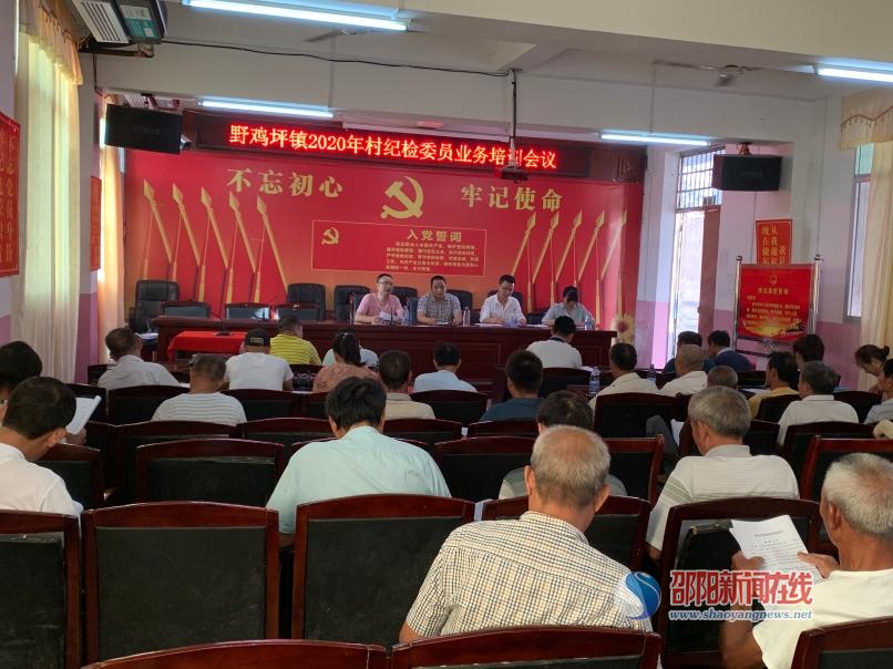 邵东市野鸡坪镇：加强业务知识培训，充分发挥村级纪检委员作用