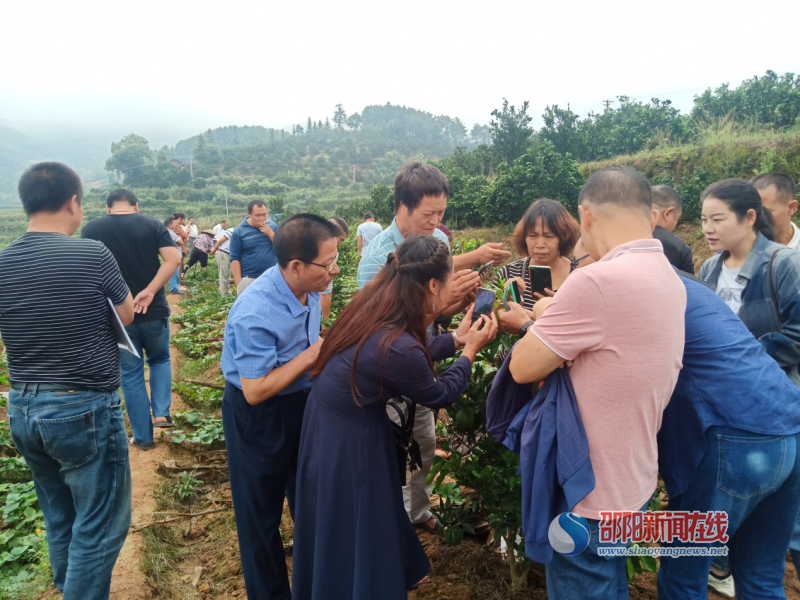 新宁县召开柑橘病虫害防控工作推进会