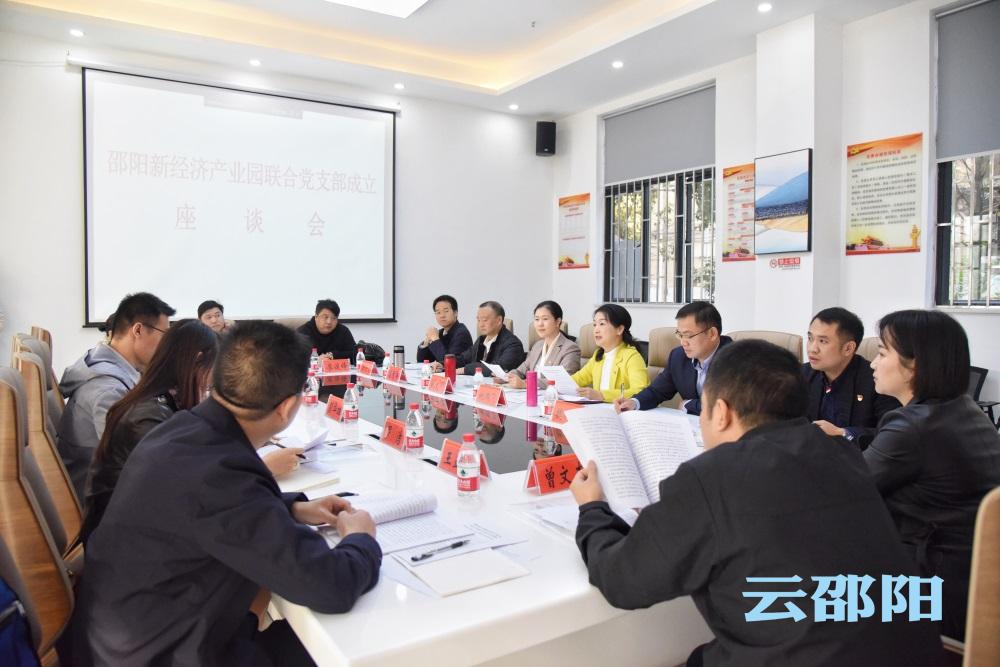 邵阳新经济产业园联合支部委员会成立座谈会召开