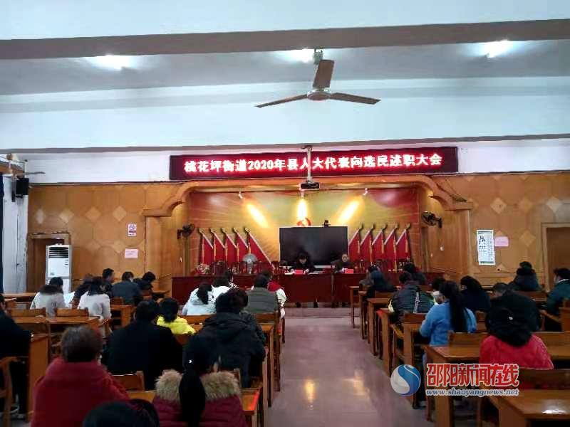 隆回县桃花坪街道召开2020年县人大代表向选民述职大会