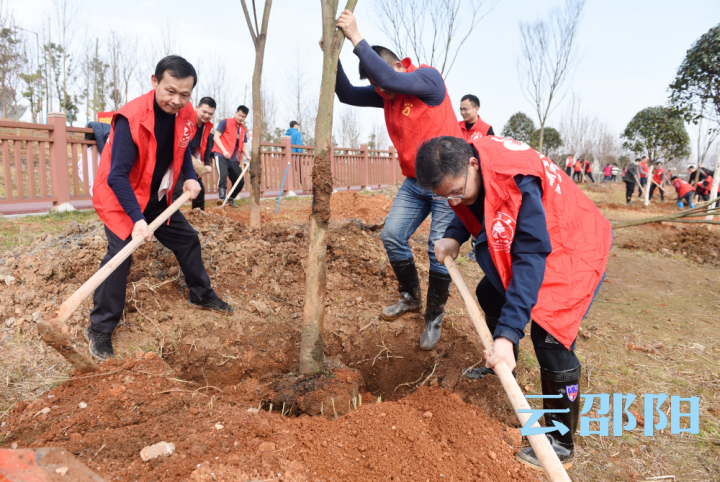 龚文密刘事青等市领导参加春节义务植树活动