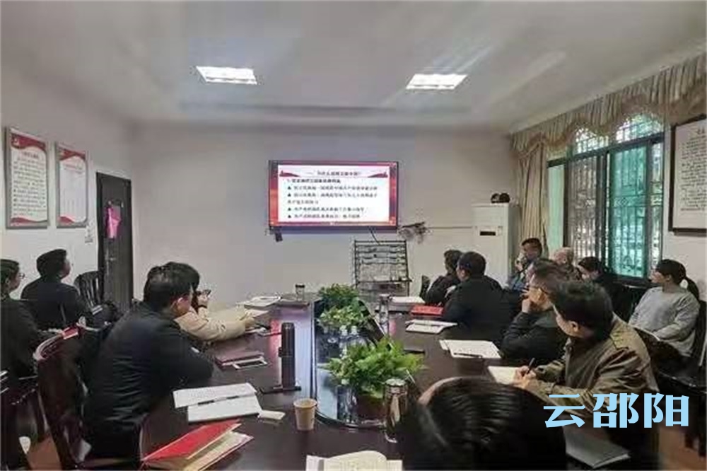 市委统战部开展党史学习教育专题学习