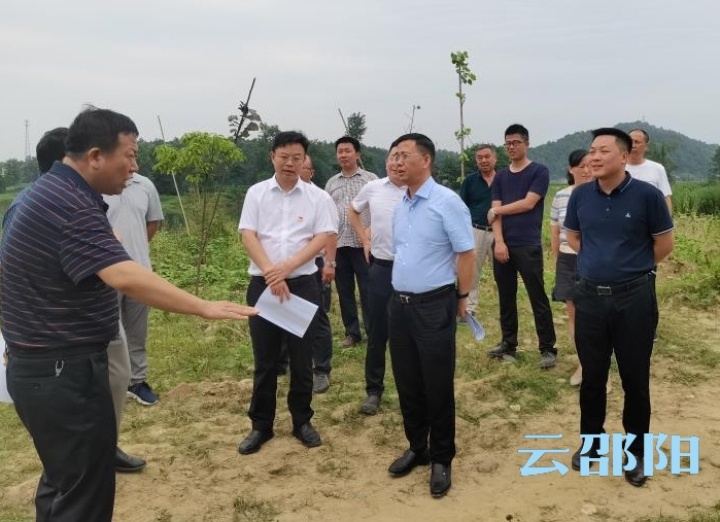 彭华松到洞口县督导安全生产环保整治等工作