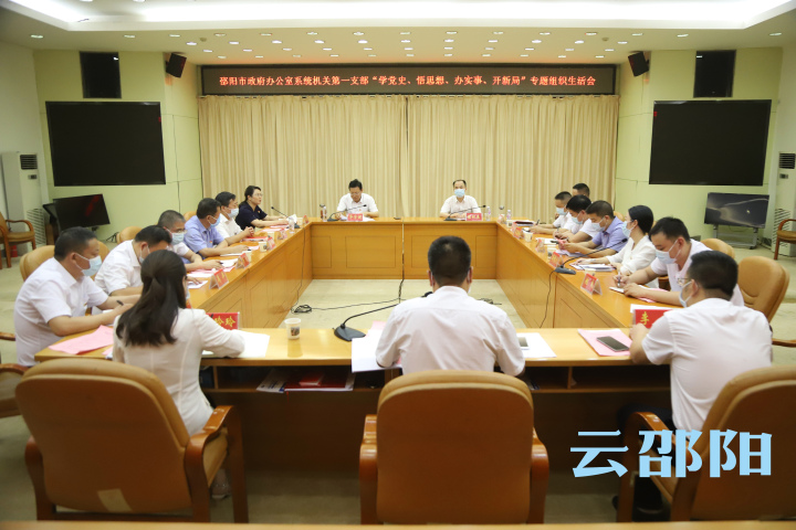 华学健以普通党员身份参加市政府办公室系统机关第一党支部组织生活会：高效能推进政府管理 高标准服务人民群众