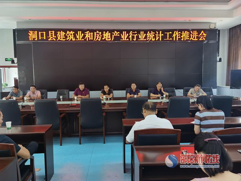洞口县召开建筑业和房地产业行业统计工作推进会