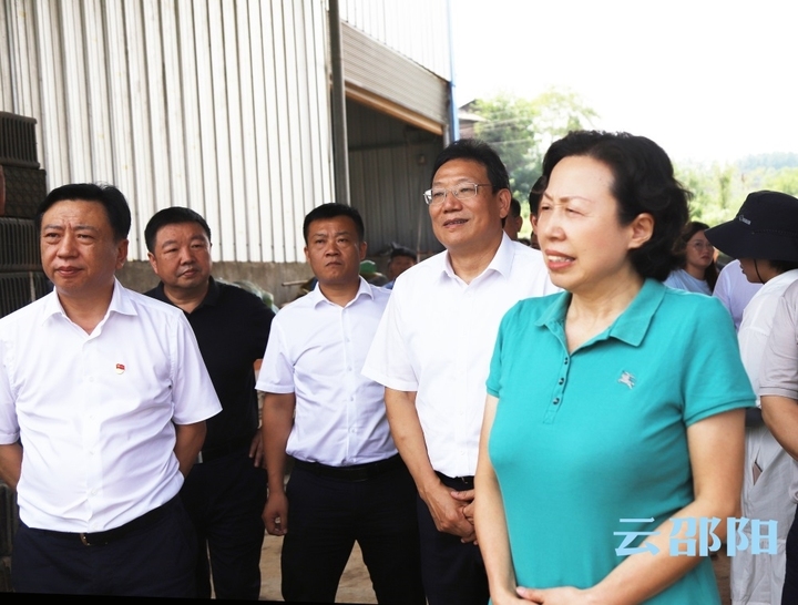 刘莲玉一行来邵开展耕地保护与利用“一法一办法一条例”执法检查