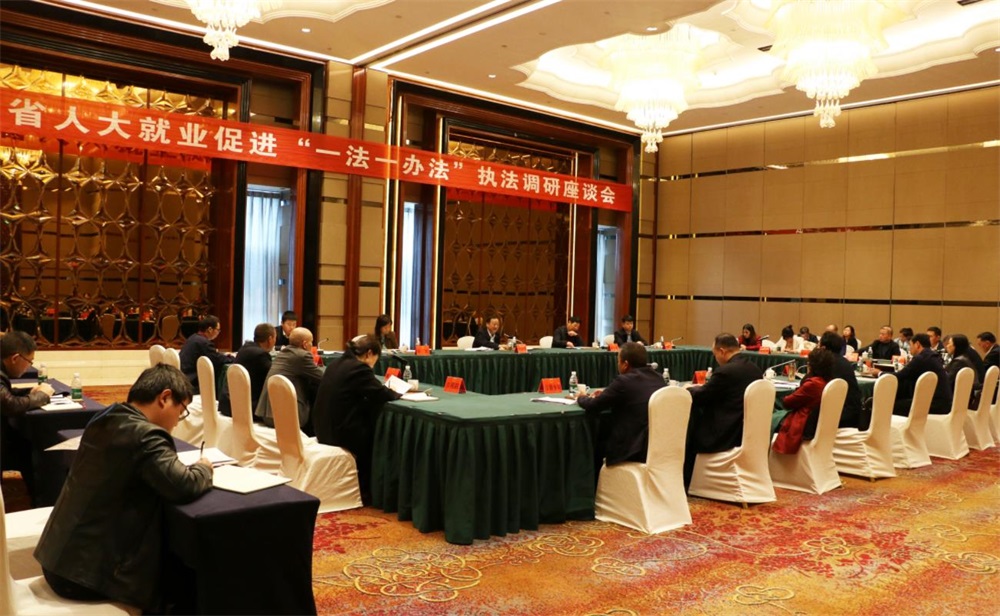 省人大调研组来邵调研就业促进“一法一办法”贯彻实施情况