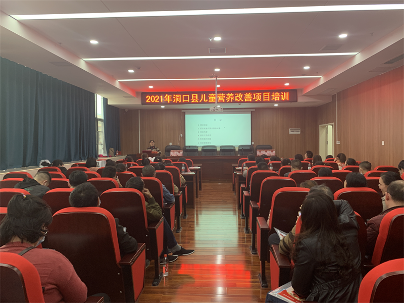 洞口县妇幼保健计划生育服务中心举办儿童营养改善项目培训班