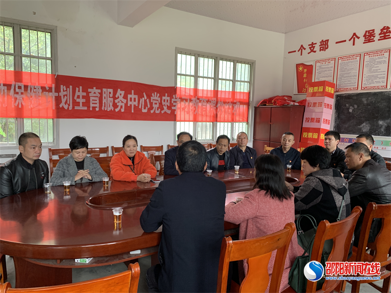 洞口县妇幼保健计划生育服务中心开展主题党日活动