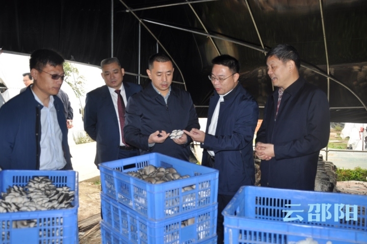 汤立斌调研省级现代农业特色产业园工作