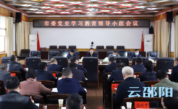 市委党史学习教育领导小组会议召开