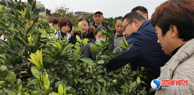 洞口县农业农村局联合县职业中专学校开办农民工技能提升培训班