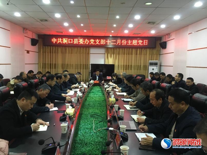 洞口县：吴韬参加县委办党支部主题党日活动